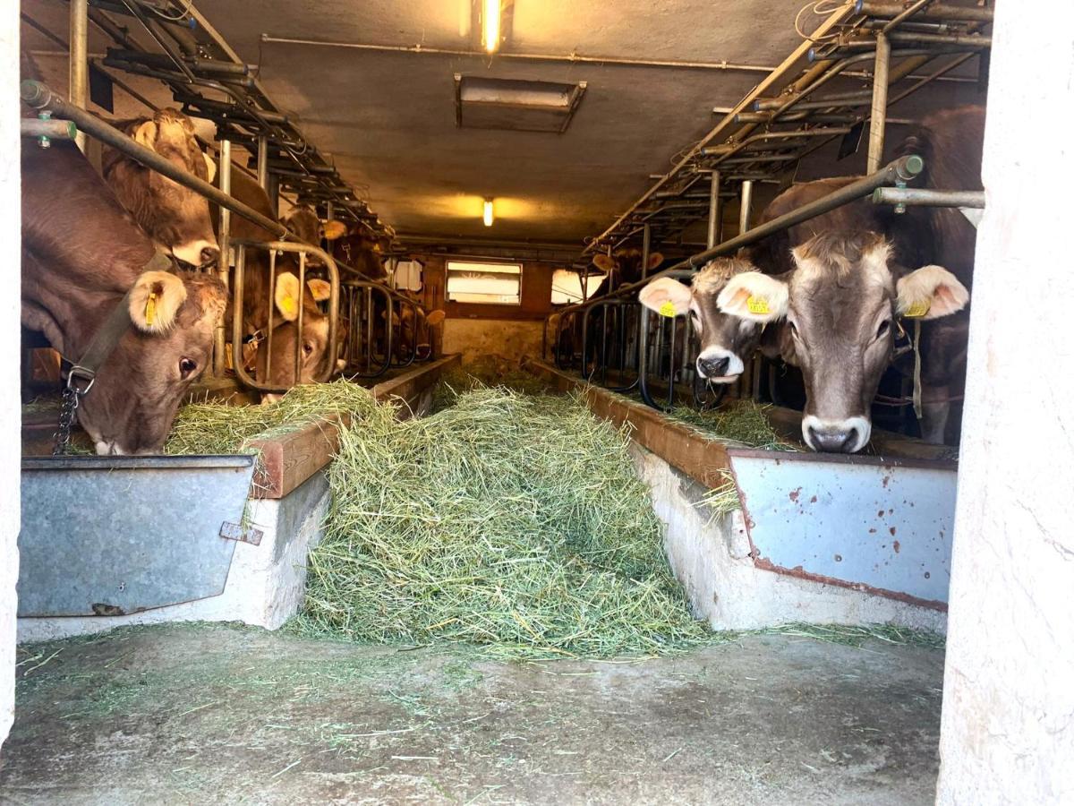 Privatzimmer Fasser In Muestair- Zentrale Lage Buitenkant foto